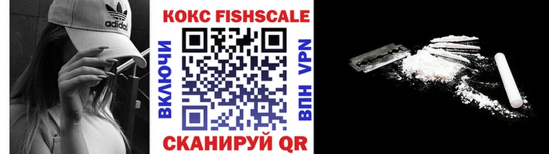 Купить где  Железногорск-Илимский  Cocaine Fish Scale 
