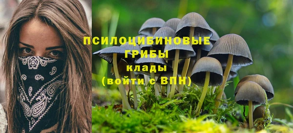 синтетический гашиш Инта