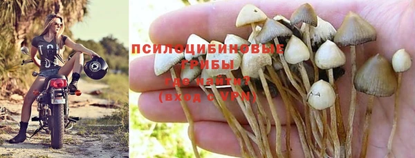 стафф Инсар