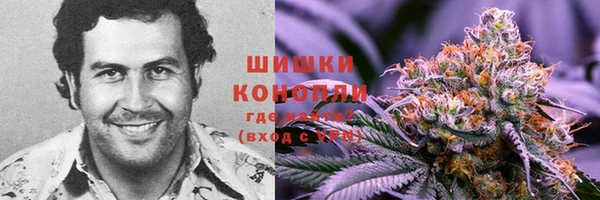 стафф Инсар