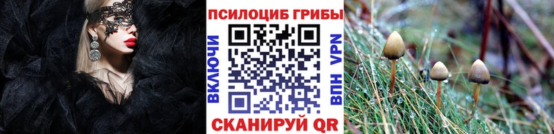 Галлюциногенные грибы прущие грибы  Купить  Железногорск-Илимский 